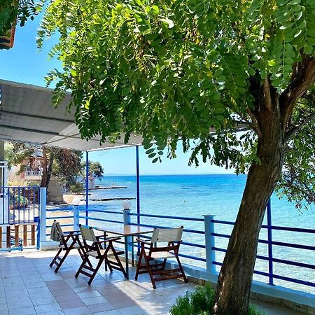 Manolis Studios Thassos Skála Kallirákhis Kültér fotó