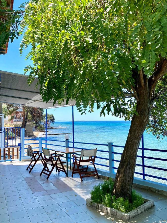 Manolis Studios Thassos Skála Kallirákhis Kültér fotó