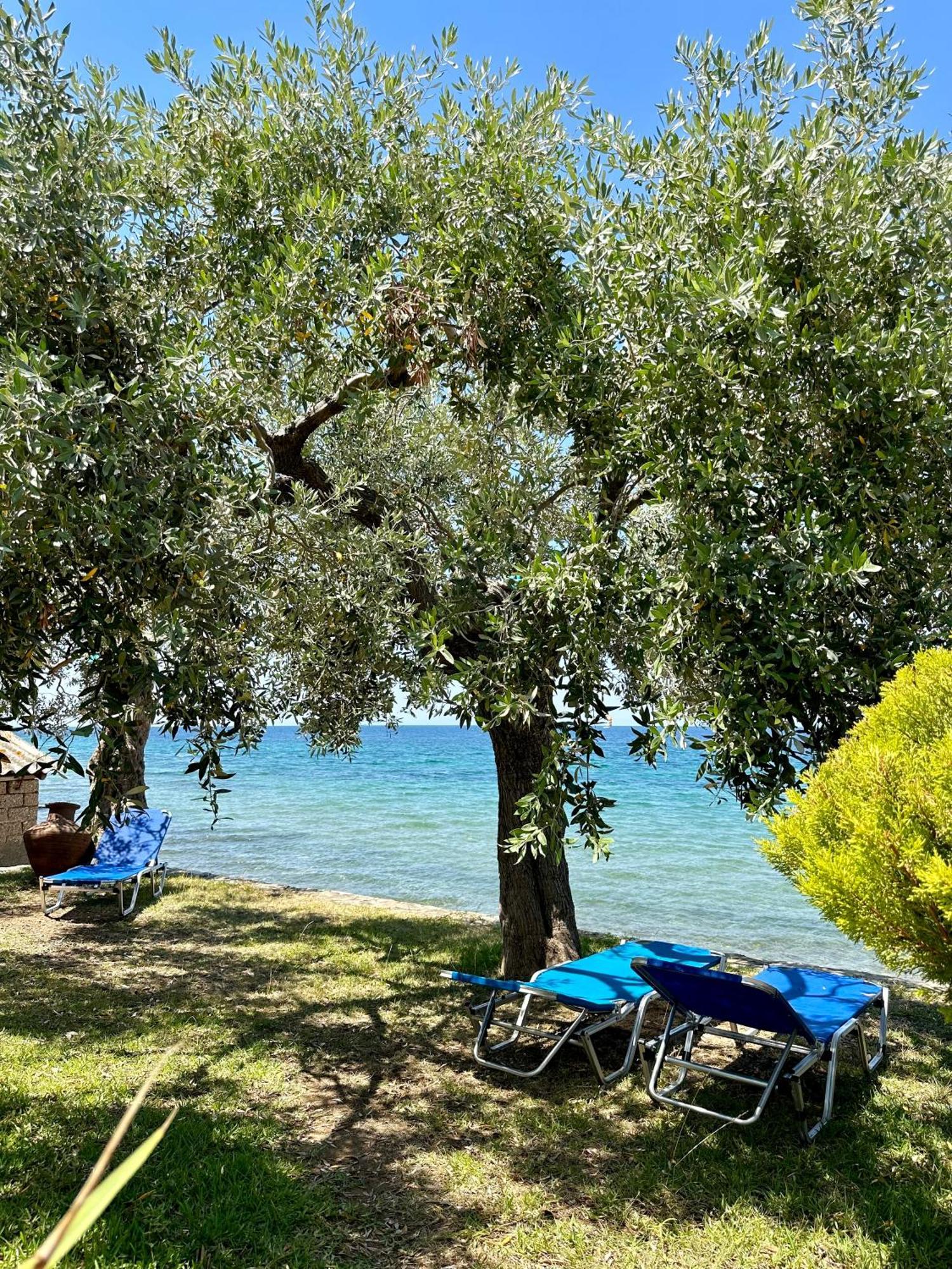 Manolis Studios Thassos Skála Kallirákhis Kültér fotó
