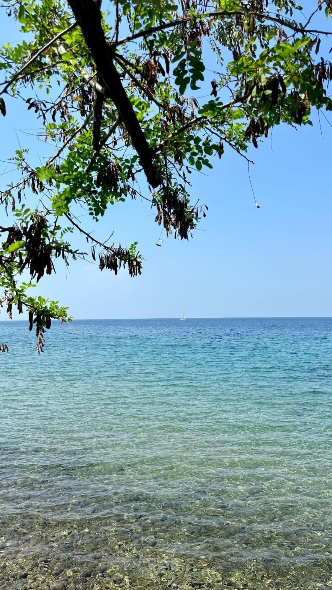 Manolis Studios Thassos Skála Kallirákhis Kültér fotó